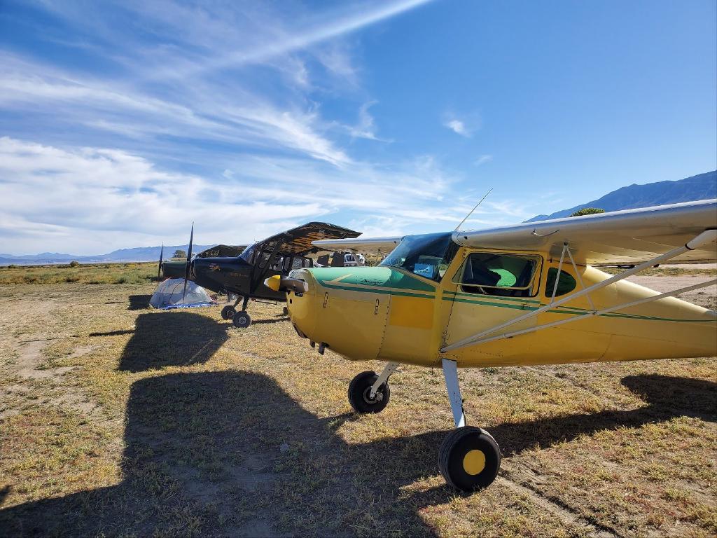 C140 Camp Next to Bird Dogs