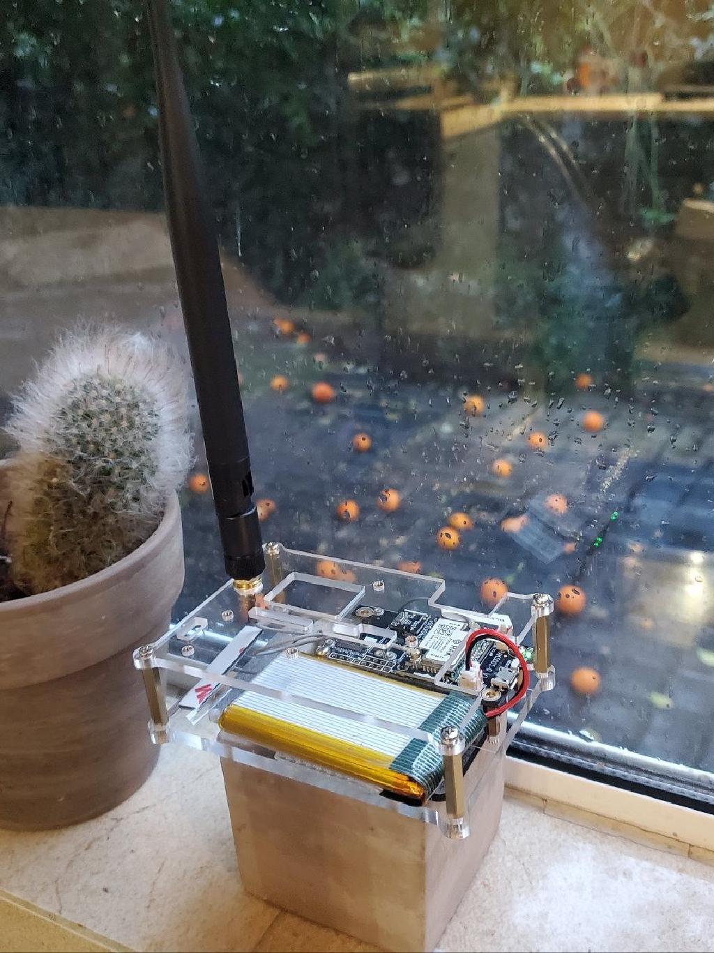 Picture of Rak Wireless Lora Meshtastic Module In