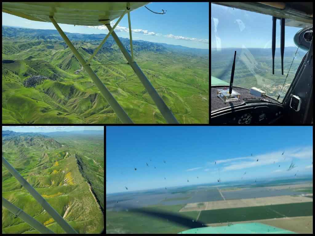 Collage of Four Photos Clockwise From Upper Left