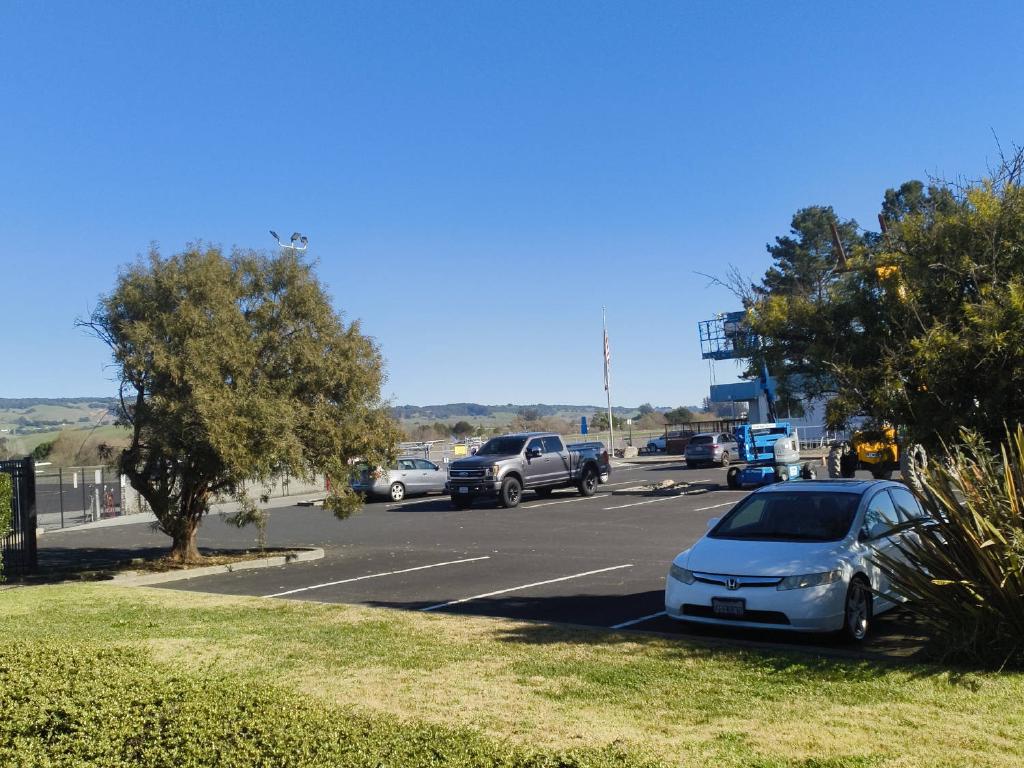 Dead Calm in Petaluma