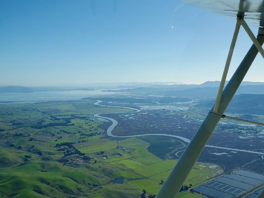 Saying Goodbyes and Flying Back